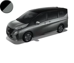 Body : Dark Metal grey