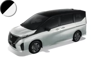 Body : Brilliant White